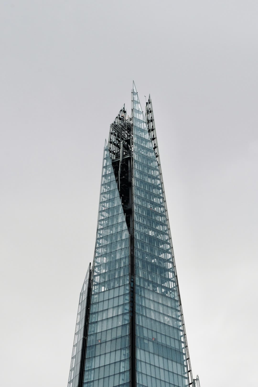 "寒王"争议：寒武纪市值超6600亿，是价值重估还是泡沫？